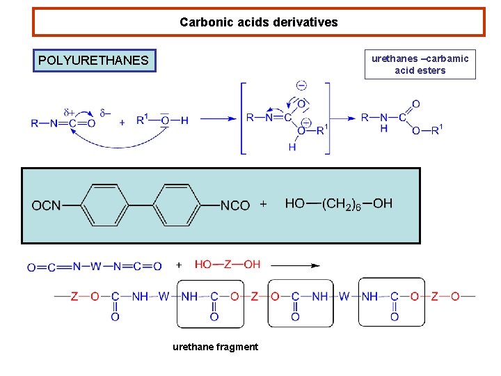 Carbonic acids derivatives urethanes –carbamic acid esters POLYURETHANES urethane fragment 