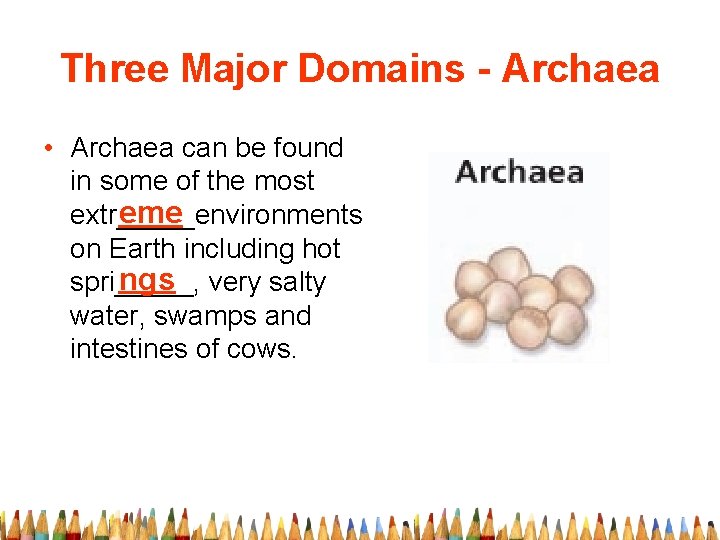 Three Major Domains - Archaea • Archaea can be found in some of the