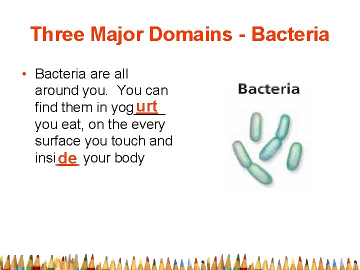 Three Major Domains - Bacteria • Bacteria are all around you. You can urt