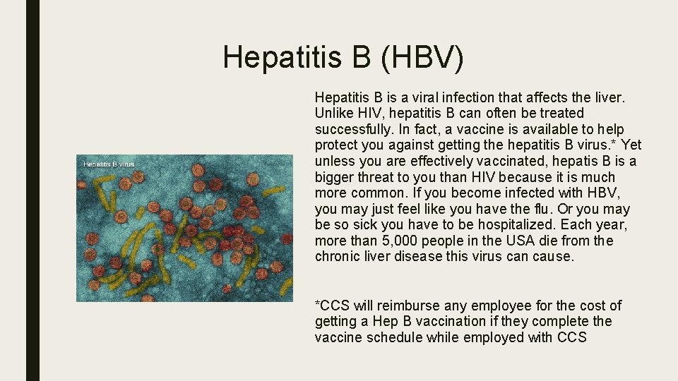Hepatitis B (HBV) Hepatitis B is a viral infection that affects the liver. Unlike