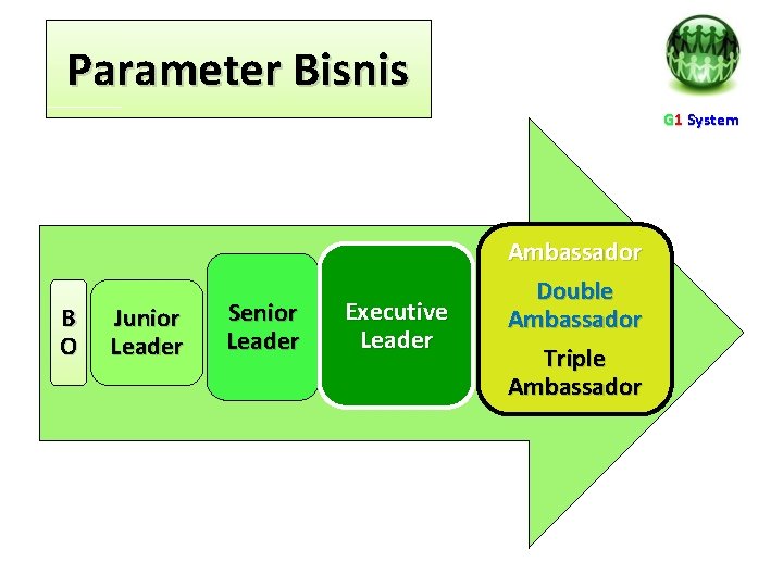 Parameter Bisnis G 1 System B O Junior Leader Senior Leader Executive Leader Ambassador