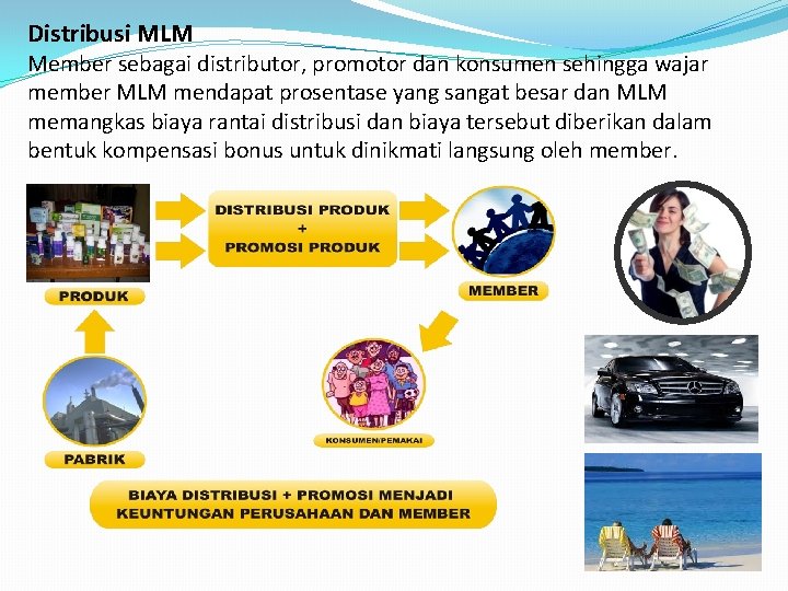 Distribusi MLM Member sebagai distributor, promotor dan konsumen sehingga wajar member MLM mendapat prosentase