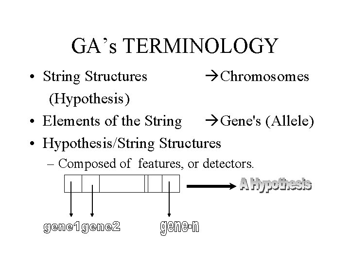 GA’s TERMINOLOGY • String Structures Chromosomes (Hypothesis) • Elements of the String Gene's (Allele)