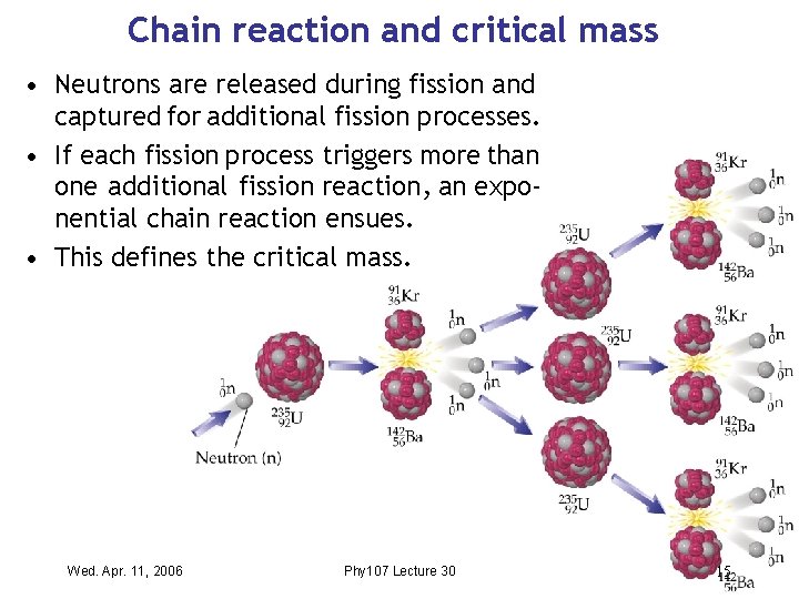 Chain reaction and critical mass • Neutrons are released during fission and captured for
