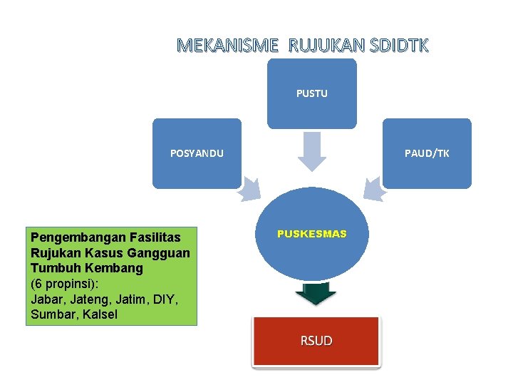 MEKANISME RUJUKAN SDIDTK PUSTU POSYANDU Pengembangan Fasilitas Rujukan Kasus Gangguan Tumbuh Kembang (6 propinsi):