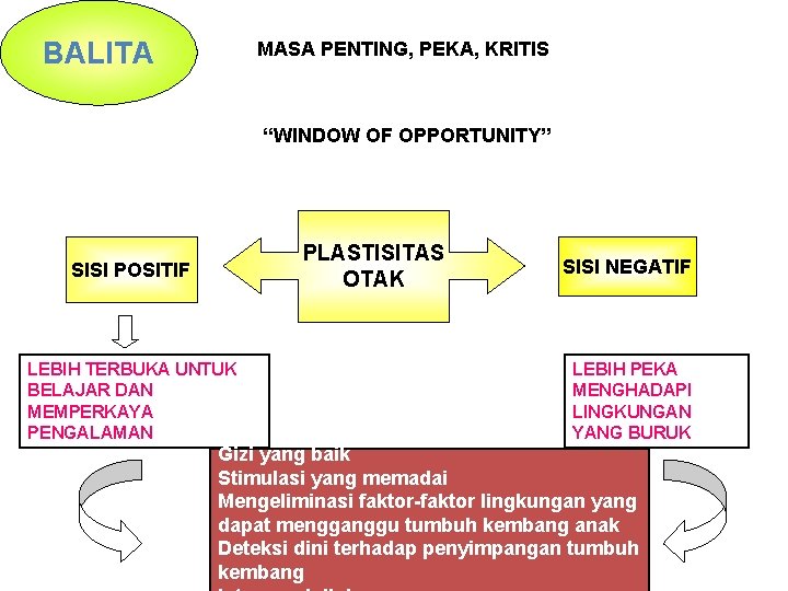 BALITA MASA PENTING, PEKA, KRITIS “WINDOW OF OPPORTUNITY” PLASTISITAS OTAK SISI POSITIF LEBIH TERBUKA