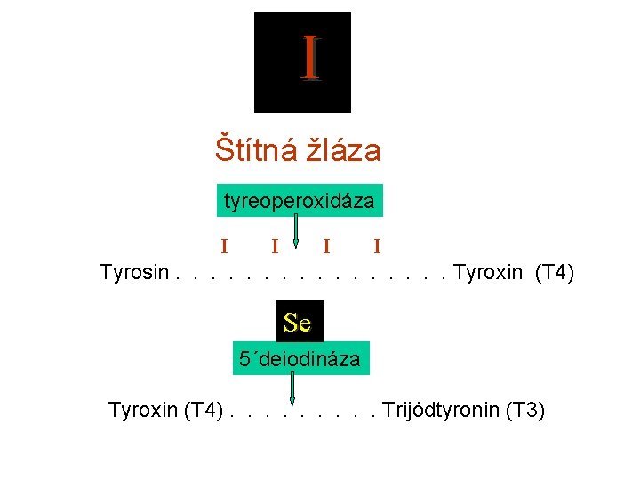  I Štítná žláza tyreoperoxidáza I I Tyrosin. . . . Tyroxin (T 4)