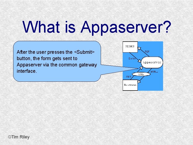 What is Appaserver? After the user presses the <Submit> button, the form gets sent