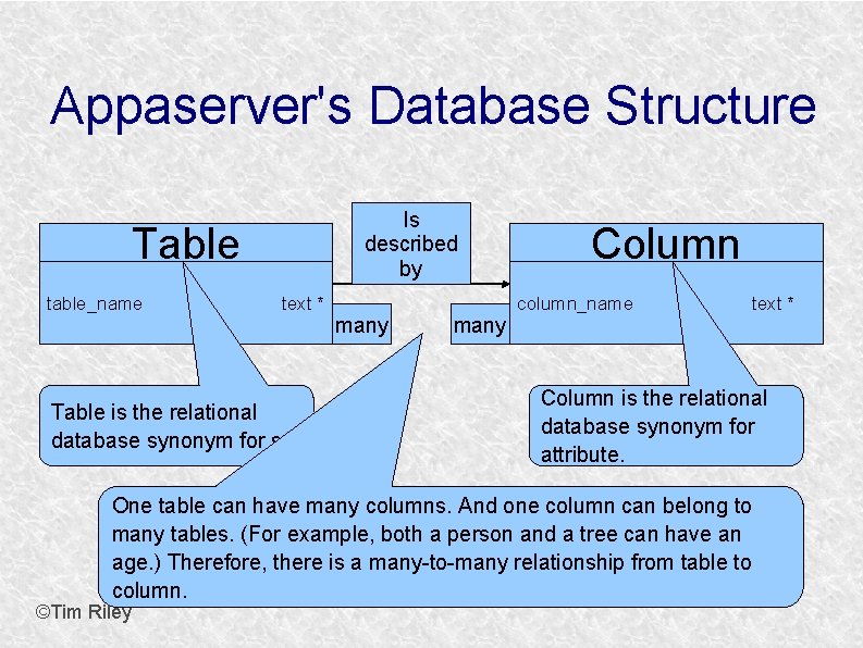 Appaserver's Database Structure Is described by Table table_name text * Table is the relational