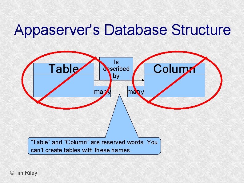 Appaserver's Database Structure Table Is described by many Column many ”Table” and ”Column” are