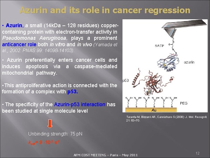 Azurin and its role in cancer regression • Azurin, a small (14 k. Da