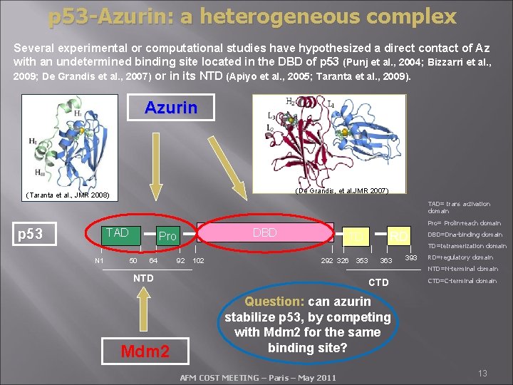 p 53 -Azurin: a heterogeneous complex Several experimental or computational studies have hypothesized a