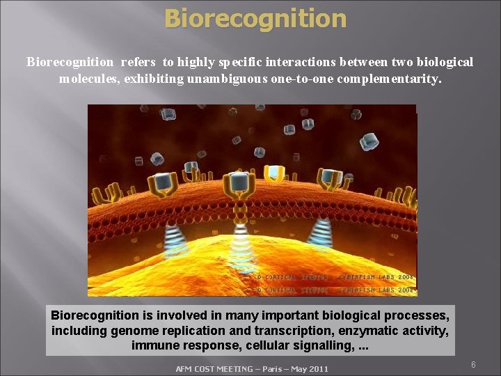Biorecognition refers to highly specific interactions between two biological molecules, exhibiting unambiguous one-to-one complementarity.