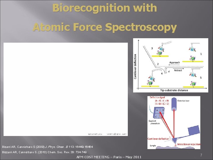Biorecognition with Atomic Force Spectroscopy Bizarri AR, Cannistraro S (2009) J. Phys. Chem. B