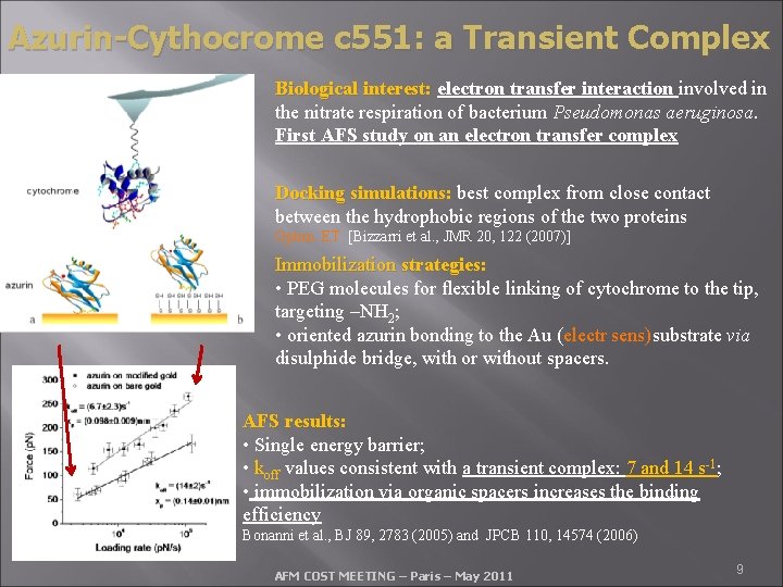 Azurin-Cythocrome c 551: a Transient Complex Biological interest: electron transfer interaction involved in electron