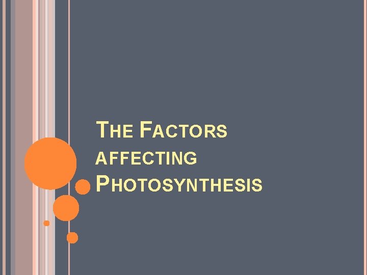 THE FACTORS AFFECTING PHOTOSYNTHESIS 