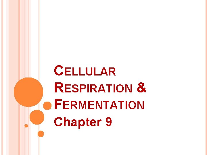 CELLULAR RESPIRATION & FERMENTATION Chapter 9 
