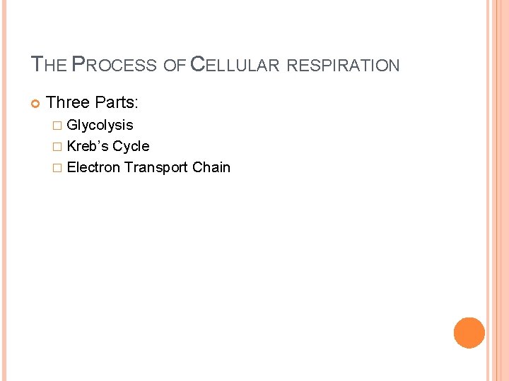 THE PROCESS OF CELLULAR RESPIRATION Three Parts: � Glycolysis � Kreb’s Cycle � Electron