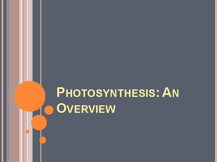 PHOTOSYNTHESIS: AN OVERVIEW 