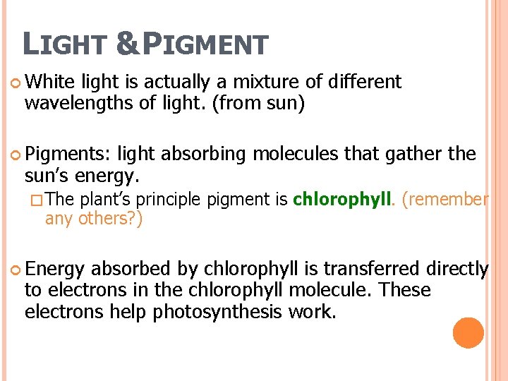 LIGHT & PIGMENT White light is actually a mixture of different wavelengths of light.