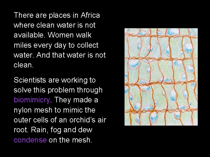 There are places in Africa where clean water is not available. Women walk miles
