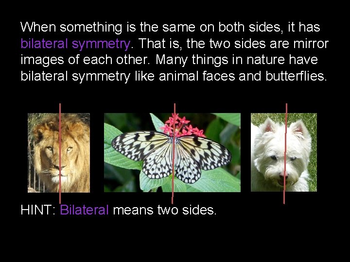 When something is the same on both sides, it has bilateral symmetry. That is,