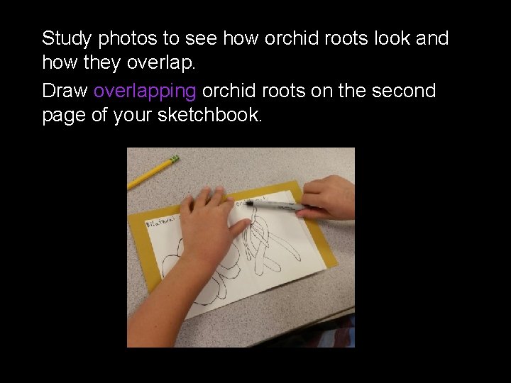 Study photos to see how orchid roots look and how they overlap. Draw overlapping