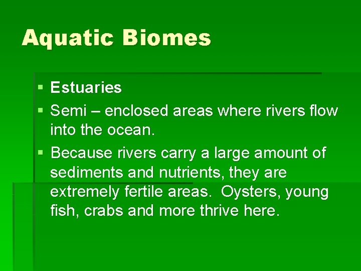 Aquatic Biomes § Estuaries § Semi – enclosed areas where rivers flow into the