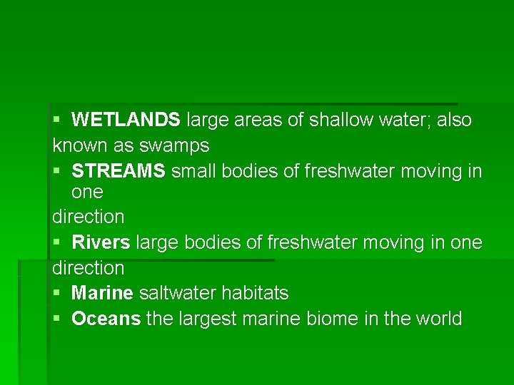 § WETLANDS large areas of shallow water; also known as swamps § STREAMS small
