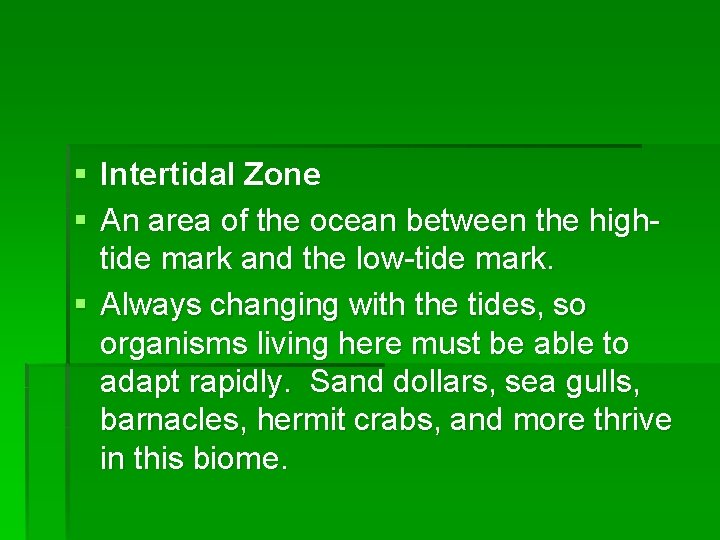 § Intertidal Zone § An area of the ocean between the hightide mark and