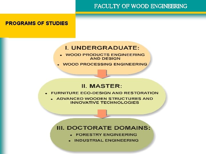 FACULTY OF WOOD ENGINEERING PROGRAMS OF STUDIES 