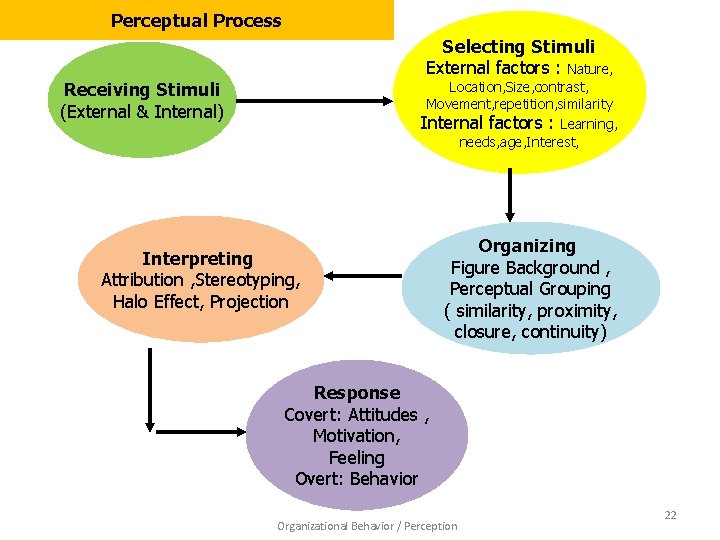  • Perceptual Process Selecting Stimuli External factors : Nature, Location, Size, contrast, Movement,