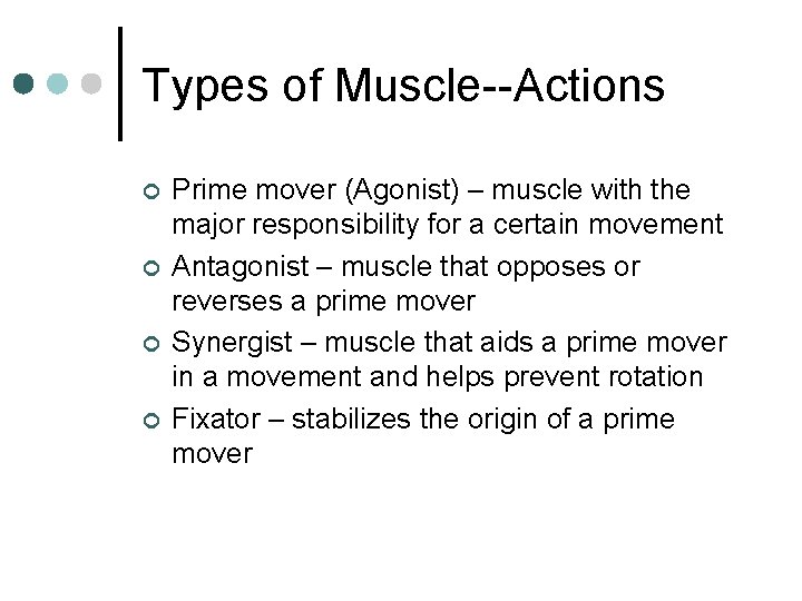 Types of Muscle--Actions ¢ ¢ Prime mover (Agonist) – muscle with the major responsibility