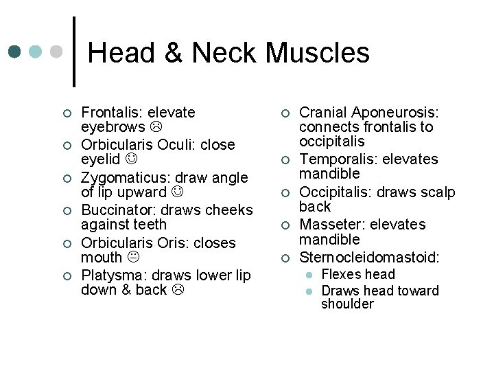 Head & Neck Muscles ¢ ¢ ¢ Frontalis: elevate eyebrows Orbicularis Oculi: close eyelid
