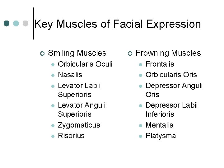 Key Muscles of Facial Expression ¢ Smiling Muscles l l l Orbicularis Oculi Nasalis