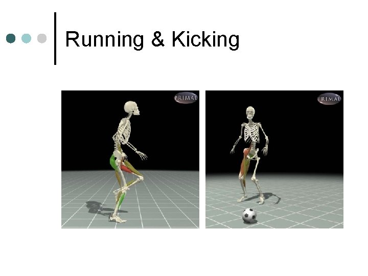 Running & Kicking 