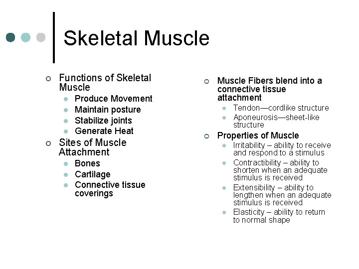 Skeletal Muscle ¢ Functions of Skeletal Muscle l l ¢ Produce Movement Maintain posture