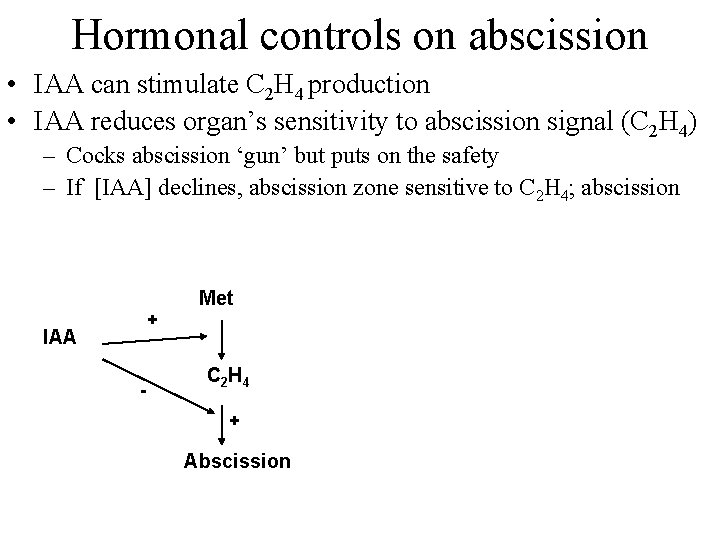 Hormonal controls on abscission • IAA can stimulate C 2 H 4 production •