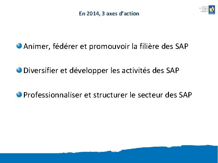 En 2014, 3 axes d’action Animer, fédérer et promouvoir la filière des SAP Diversifier