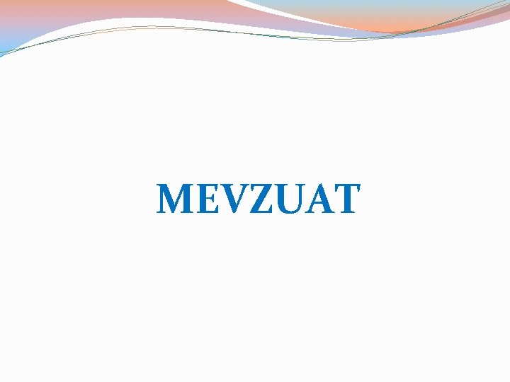 MEVZUAT 