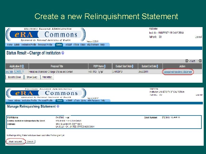 Create a new Relinquishment Statement 