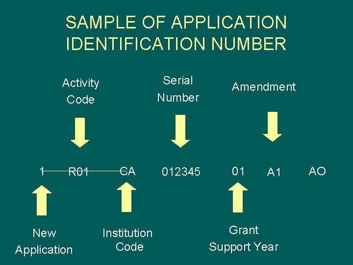 SAMPLE OF APPLICATION IDENTIFICATION NUMBER Serial Number Activity Code 1 R 01 New Application