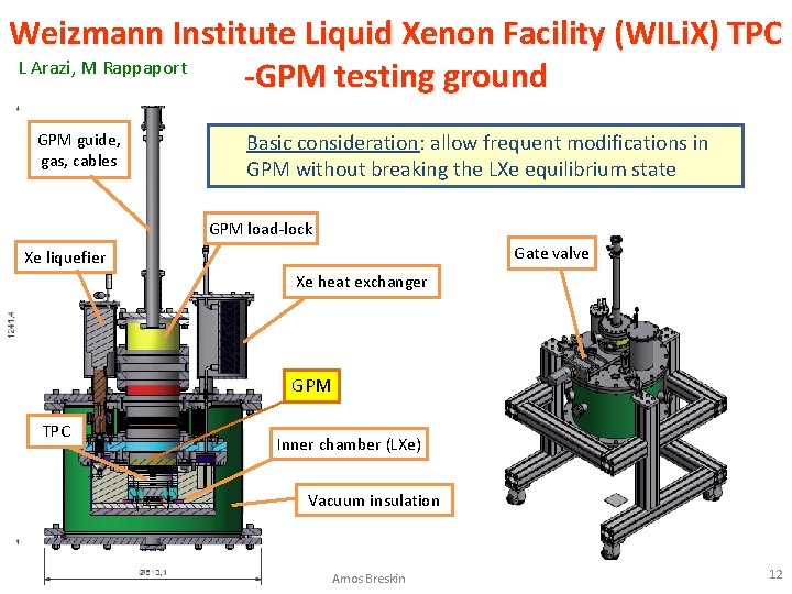 Weizmann Institute Liquid Xenon Facility (WILi. X) TPC L Arazi, M Rappaport -GPM testing