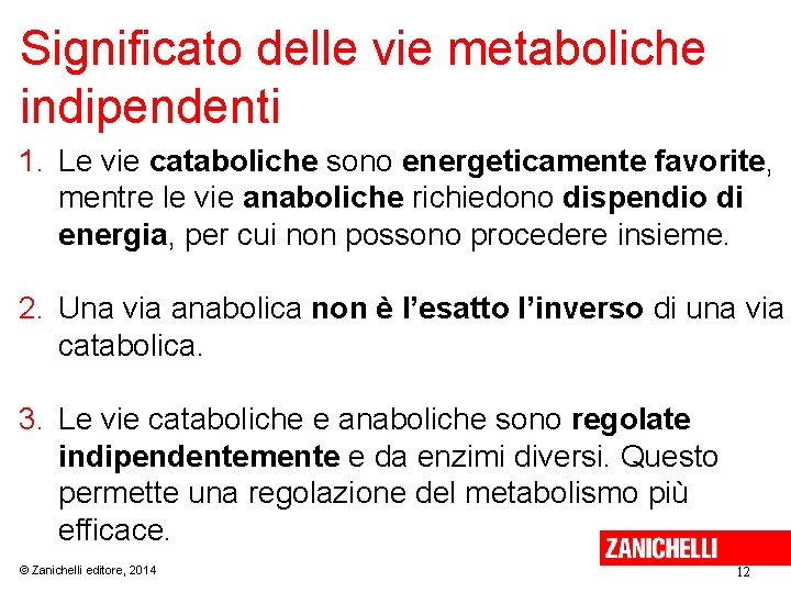 Significato delle vie metaboliche indipendenti 1. Le vie cataboliche sono energeticamente favorite, mentre le