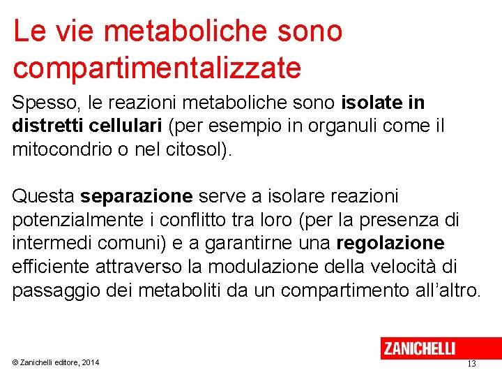 Le vie metaboliche sono compartimentalizzate Spesso, le reazioni metaboliche sono isolate in distretti cellulari