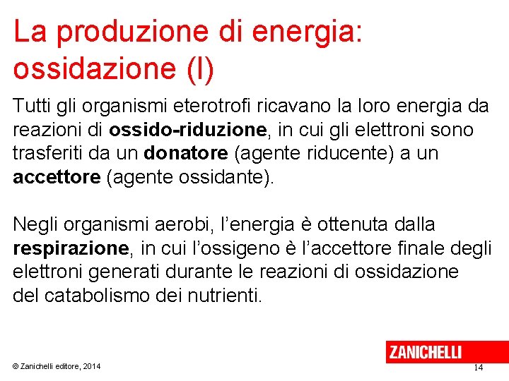 La produzione di energia: ossidazione (I) Tutti gli organismi eterotrofi ricavano la loro energia