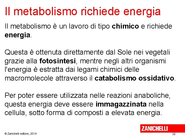 Il metabolismo richiede energia Il metabolismo è un lavoro di tipo chimico e richiede