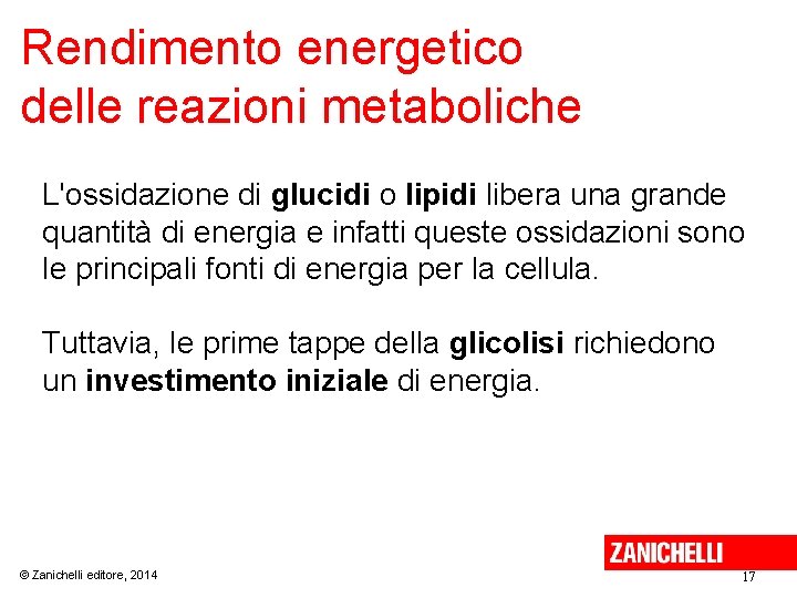 Rendimento energetico delle reazioni metaboliche L'ossidazione di glucidi o lipidi libera una grande quantità