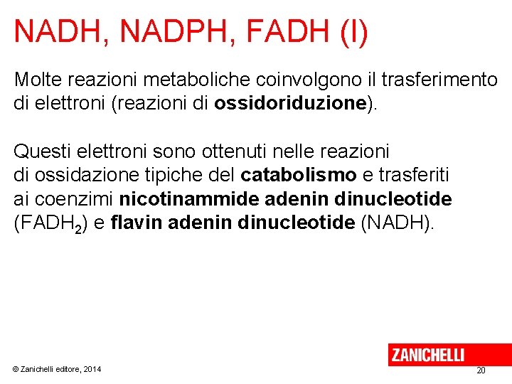 NADH, NADPH, FADH (I) Molte reazioni metaboliche coinvolgono il trasferimento di elettroni (reazioni di