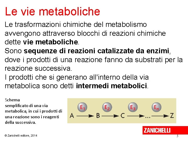 Le vie metaboliche Le trasformazioni chimiche del metabolismo avvengono attraverso blocchi di reazioni chimiche